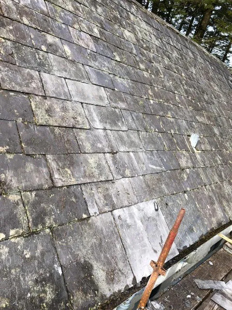 Moss growth on the roof being cleared and broken slates replaced — photo 5